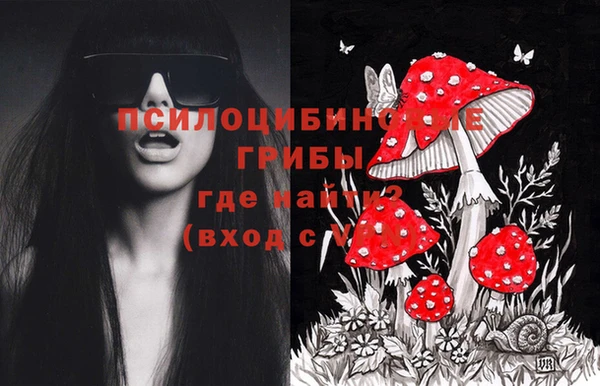 крисы Семикаракорск