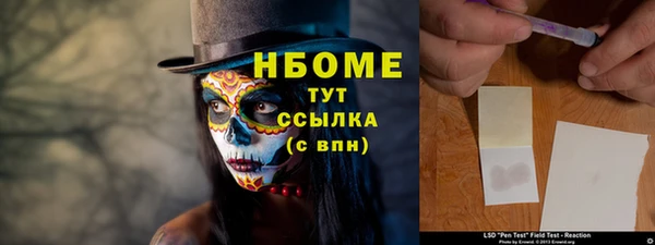 индика Семилуки