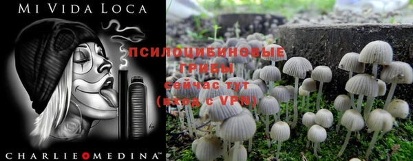 ПСИЛОЦИБИНОВЫЕ ГРИБЫ Алзамай