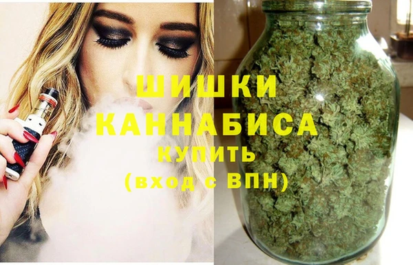 ПСИЛОЦИБИНОВЫЕ ГРИБЫ Алзамай