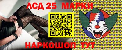 mdma Гатчина