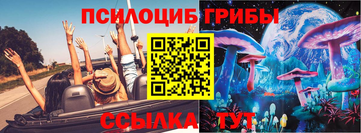 Ейск  Псилоцибиновые грибы Cubensis  Вход с VPN  Галлюциногенные грибы Psilocybine cubensis 